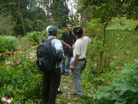 Ant collecting in Botanical garden
