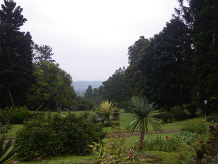 Morning in Botanical Garden