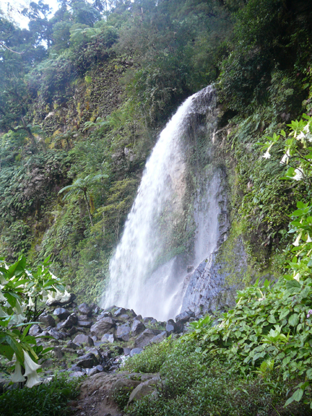 Water fall in National Park