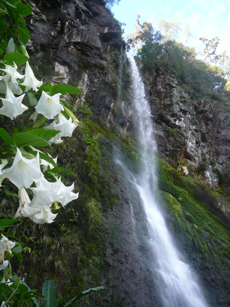 Waterfall in National Park