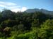 Botanical Garden and Gunung Gede